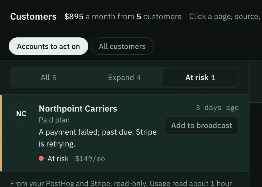 Revenue › Customers, At risk: “A payment failed; past due. Stripe is retrying.” Sample data.